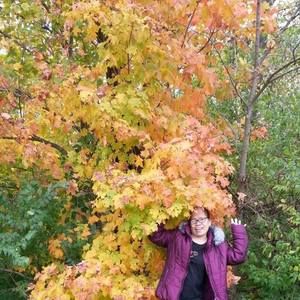 Meet your Posher, Bing